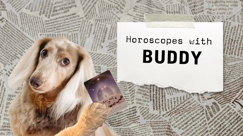 January Horoscopes with Buddy - 2024