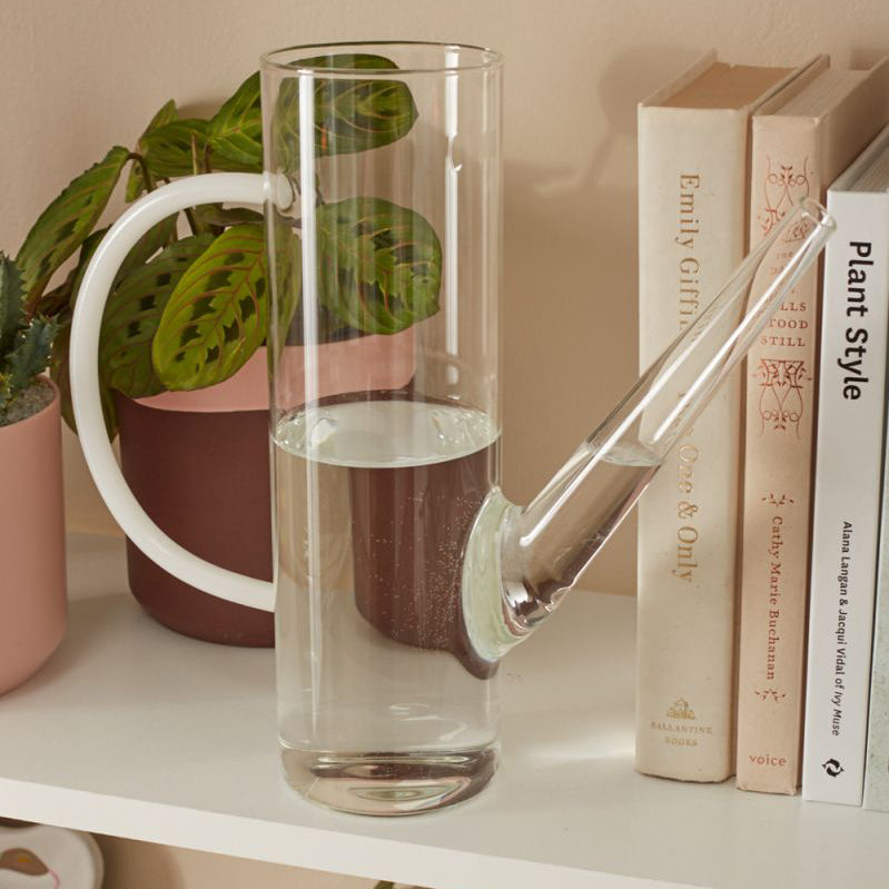 Arlo Watering Glass