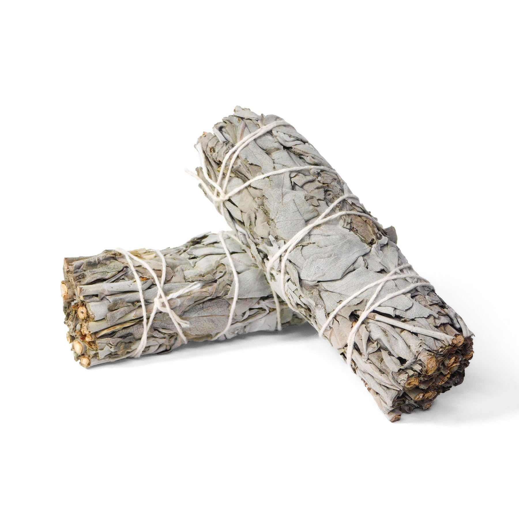 California White Sage 5" Bundle