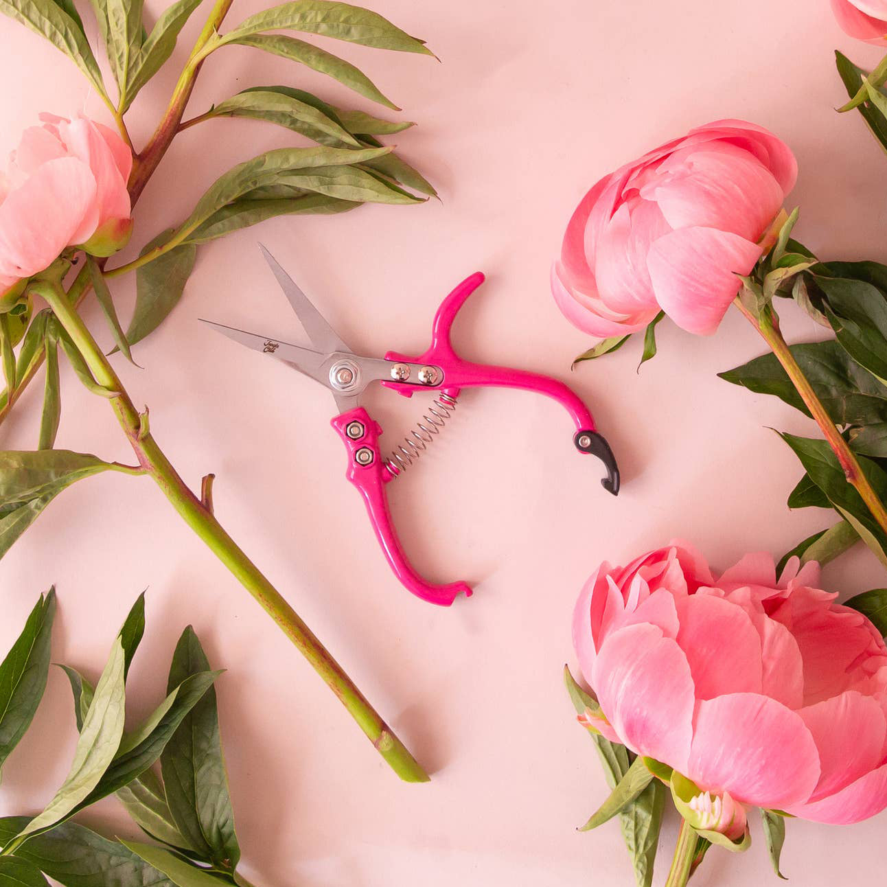 Pruning Shears