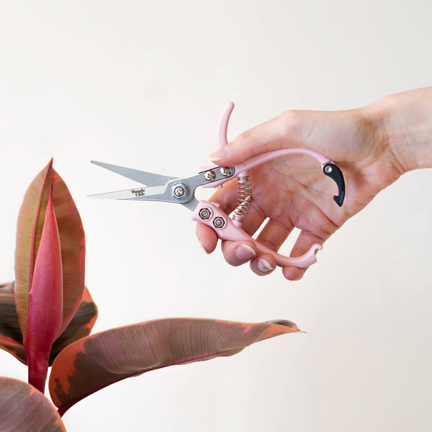 Pruning Shears